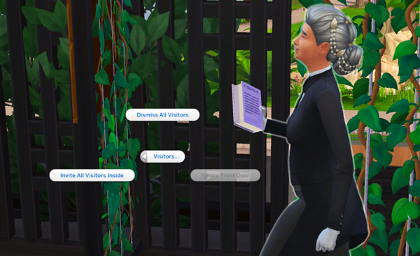 Sims 4-privacy issues-butler